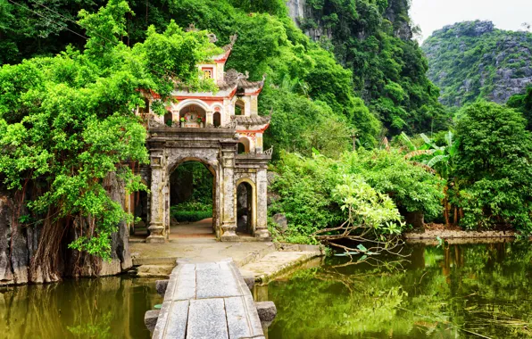 Картинка зелень, лес, деревья, горы, озеро, пальмы, скалы, джунгли, арка, Вьетнам, кусты, Ninh Binh Province, Bich …