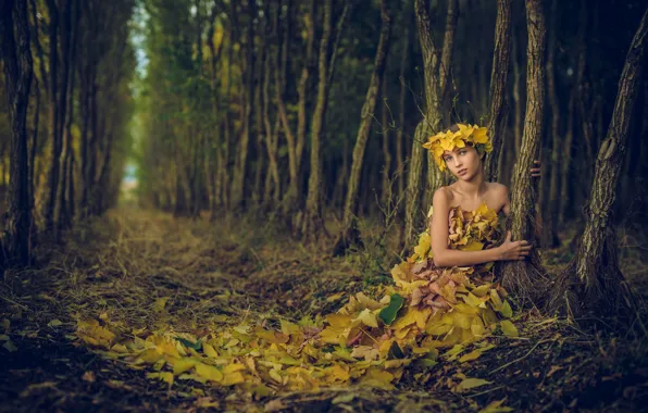 Картинка лес, листья, девочка, Иван Славов