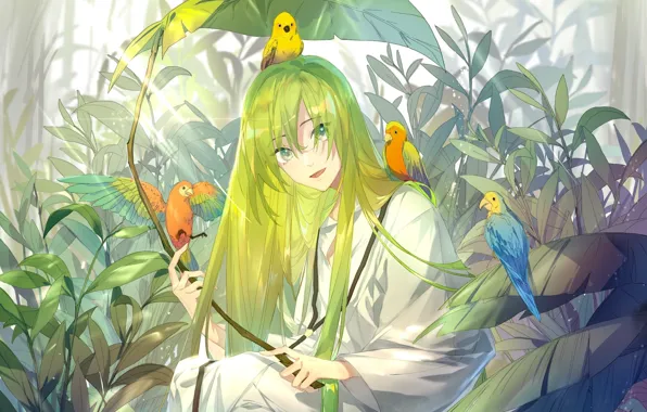 Картинка природа, аниме, арт, попугаи, Fate / Grand Order