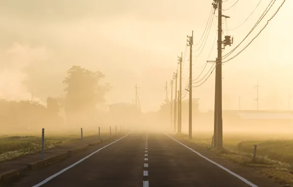 Картинка дорога, туман, утро, лэп