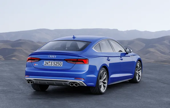 Картинка Audi, German, Blue, 2018, A5, S5