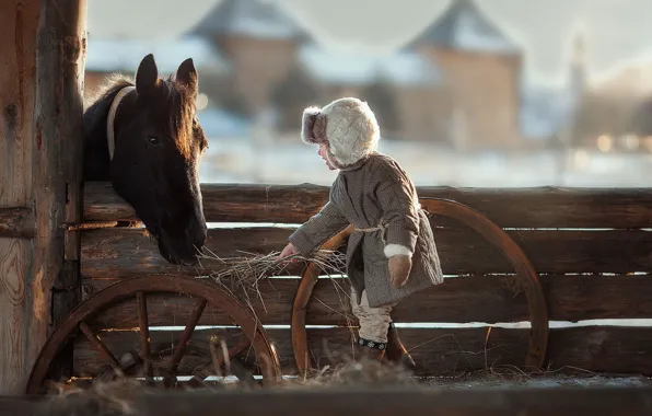Картинка зима, радость, лошадь, забор, мальчик, сено, кормление