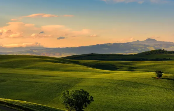 Картинка green, grass, Nature, sky, field, landscape, clouds, tree, hills, dawn