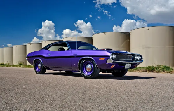 Картинка Dodge Challenger, retro, muscle car, purple, super car, muscle classic