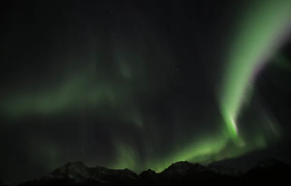 Картинка green, sky, night, norway, aurora borealis, northenlights