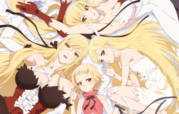 Картинка девушки, аниме, блондинки, Bakemonogatari