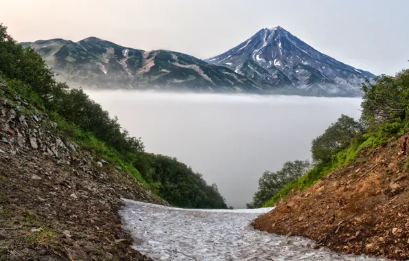 Картинка деревья, горы, туман, камни, склон, Россия, Камчатка