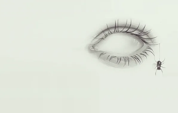Картинка глаз, рисунок, арт, карандаш, паучок