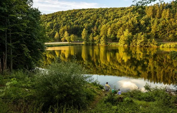Картинка зелень, лес, лето, деревья, озеро, отдых, рыбак, Германия, кусты, на природе, удочка, Attendorn, lake Biggesee