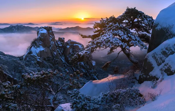 Картинка зима, солнце, снег, деревья, горы, скалы