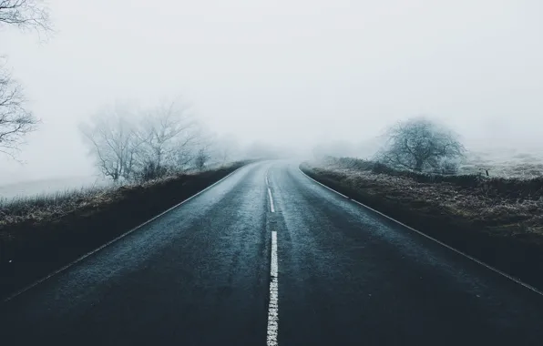 Картинка иней, дорога, деревья, туман