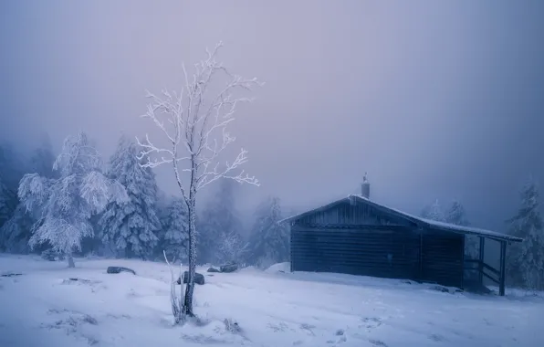 Картинка зима, снег, туман, дом
