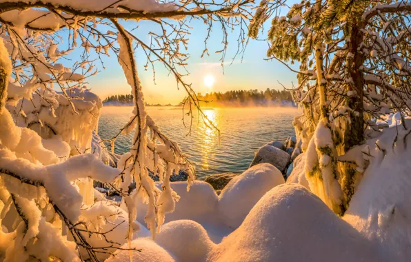 Картинка вода, солнце, снег, деревья, ветки