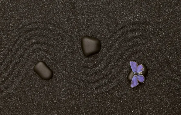 Картинка песок, бабочка, камень, текстура