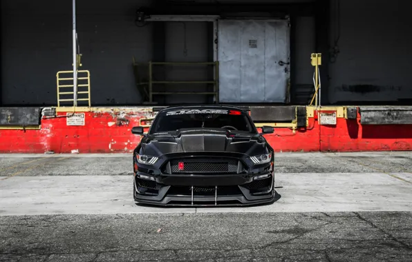 Картинка Mustang, Ford, Front, Black, Face