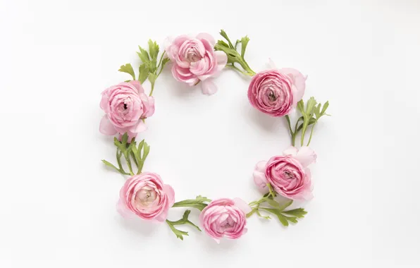 Картинка цветы, розовые, pink, flowers, пионы, peonies