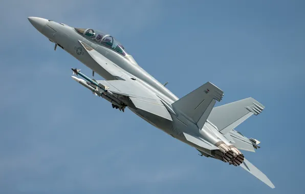 Картинка небо, серость, самолёт, F/A-18F Super Hornet