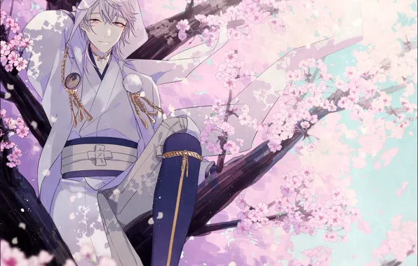 Картинка весна, сакура, парень, Touken Ranbu, Танец мечей