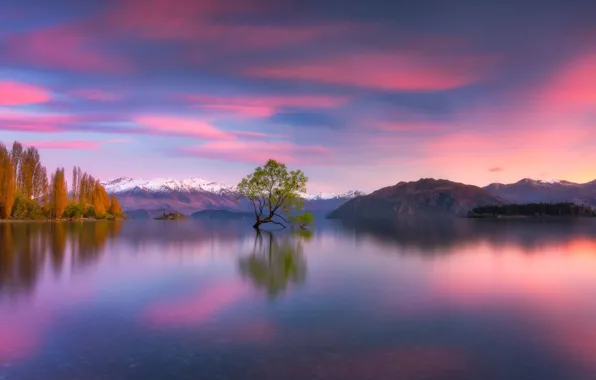 Картинка горы, озеро, дерево, Новая Зеландия, New Zealand, Lake Wanaka, Южные Альпы, Southern Alps, Озеро Уанака