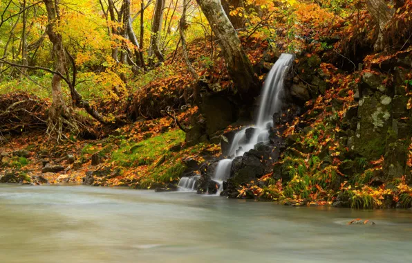 Картинка осень, лес, природа, река, водопад, поток
