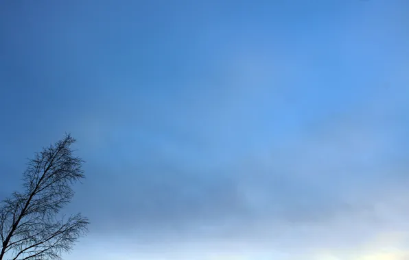 Картинка зима, небо, деревья