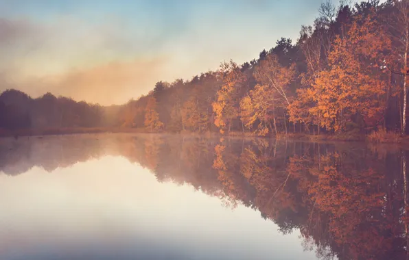 Картинка осень, туман, река