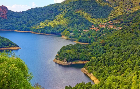 Картинка зелень, лес, солнце, деревья, горы, побережье, Франция, залив, домики, Corsica