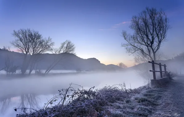 Картинка зима, иней, снег, деревья, туман, река, утро