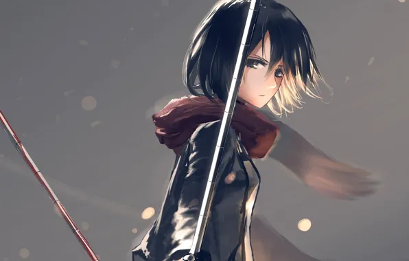 Картинка взгляд, кровь, шарф, серый фон, клинки, военная форма, Shingeki no Kyojin, Mikasa Ackerman, Вторжение Гигантов