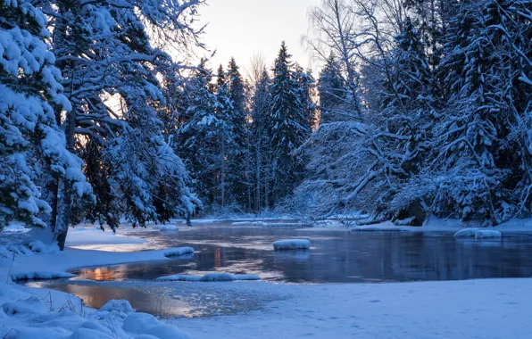Картинка зима, лес, вода, снег, деревья, пейзаж, природа, река, ели