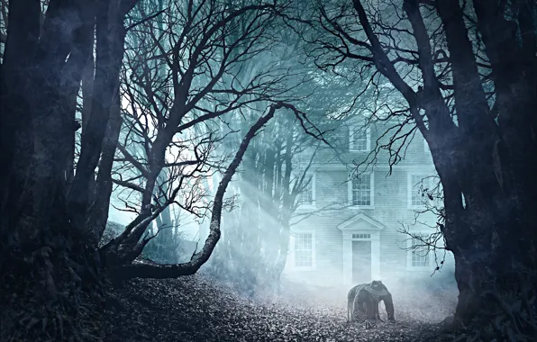 Картинка деревья, туман, здания, мужик, Lovecraft's The Thing in the Doorstep