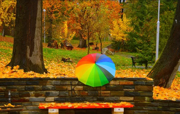 Картинка Осень, Деревья, Зонтик, Парк, Fall, Листва, Park, Autumn, Umbrella, Colors, Trees, Скамейки