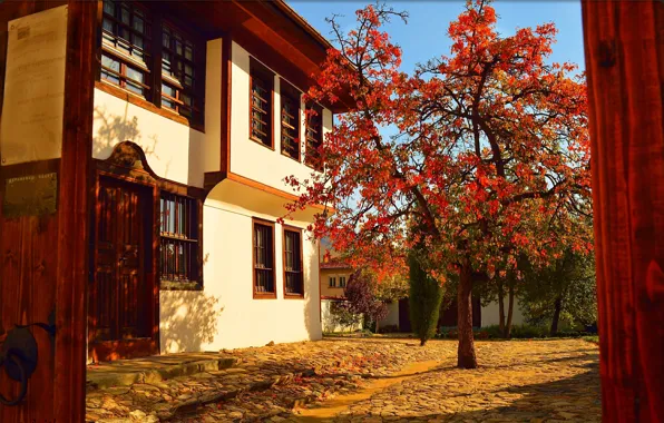 Картинка Дерево, Осень, Дом, Fall, Autumn, Colors, Двор