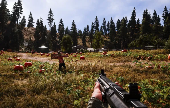 Картинка оружие, игра, Far Cry 5