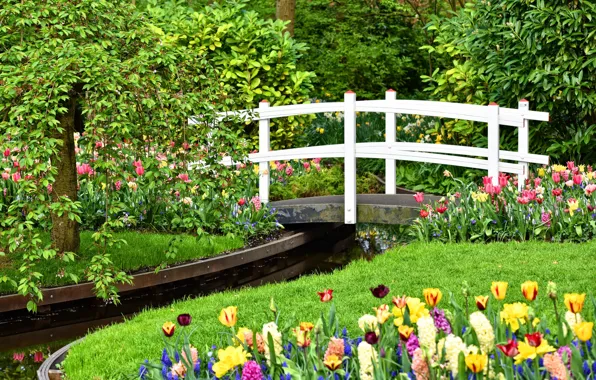 Картинка цветы, парк, ручей, сад, мостик