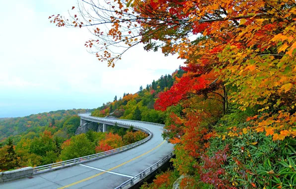 Картинка осень, холмы, автобан