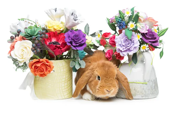 Картинка цветы, корзина, кролик, Пасха, happy, rabbit, flowers, spring, Easter, eggs, bunny, decoration