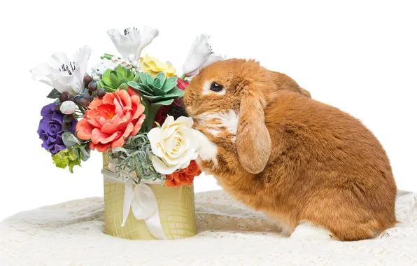 Картинка цветы, кролик, Пасха, happy, rabbit, flowers, spring, Easter, eggs, bunny, decoration