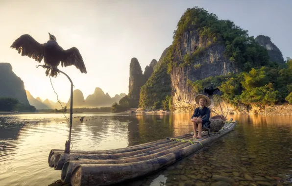 Картинка горы, озеро, птица, лодка, рыбак, Китай, Гуанси