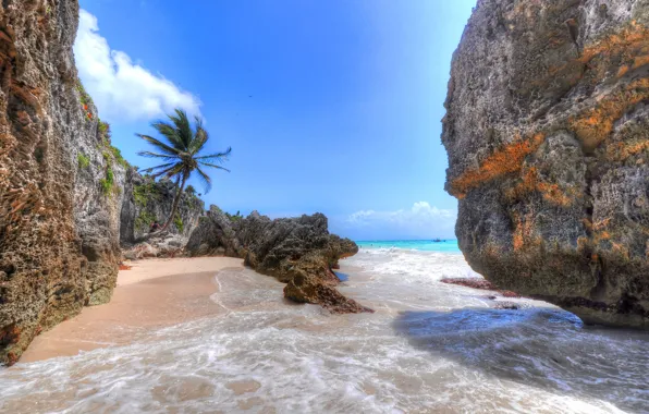 Картинка песок, море, пальма, камни, скалы, Мексика, Канкун