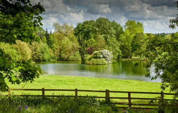 Картинка зелень, лето, небо, трава, солнце, облака, деревья, цветы, озеро, забор, Англия, одуванчики, изгородь, Thenford