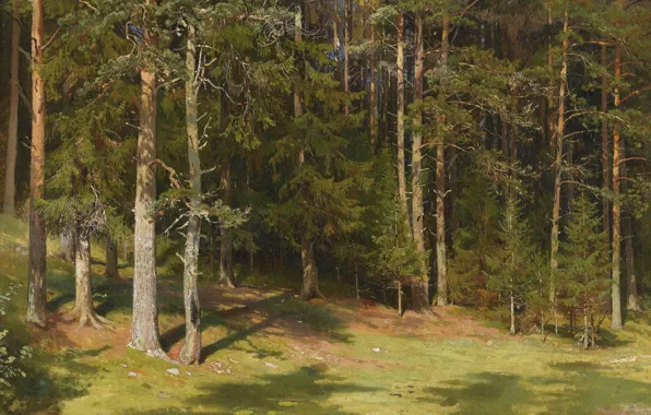 Картинка лес, деревья, пейзаж, природа, картина, Иван Иванович Шишкин, Очистка