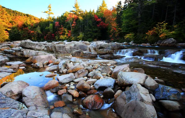 Картинка Поток, Осень, Река, Лес, Камни, Nature, Fall, Autumn, Colors, Forest, Flow