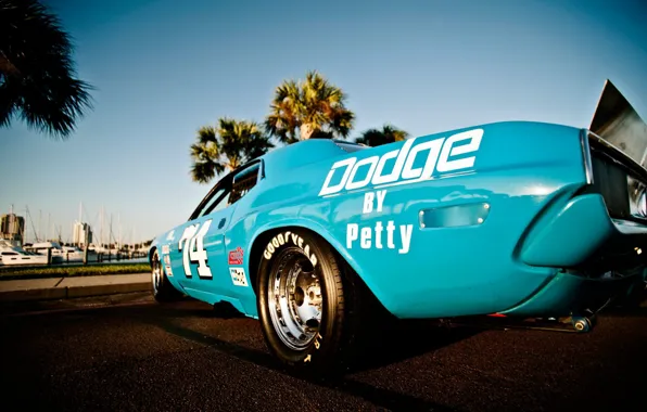 Картинка Dodge Challenger, muscle car, race car, 1973