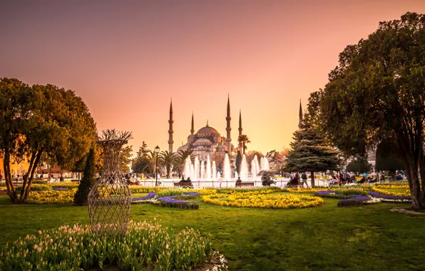 Картинка деревья, цветы, парк, газон, вечер, башни, фонтан, храм, Стамбул, Турция, дворец, Голубая мечеть