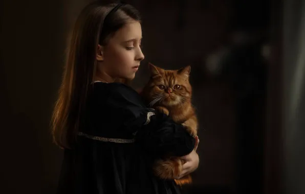 Картинка портрет, девочка, рыжий кот