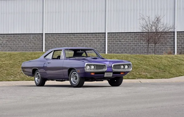 Картинка Dodge, Purple, 1970, Coronet, Old, Super Bee