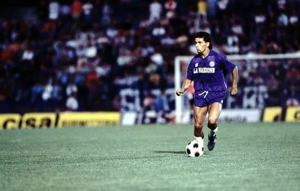 Картинка поле, трава, мяч, фиолетовые, мышцы, Roberto Baggio, Fiorentina