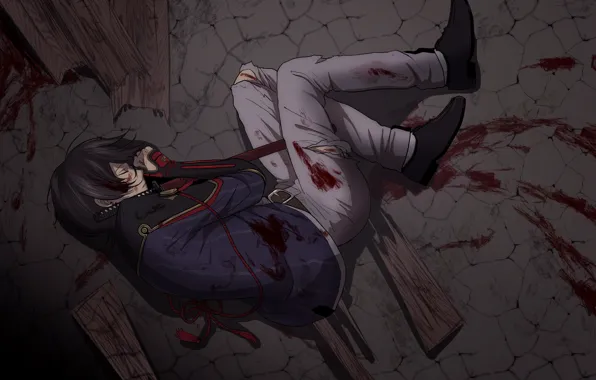 Картинка кровь, арт, парень, Touken Ranbu, Танец мечей