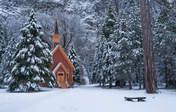 Картинка зима, лес, снег, деревья, ели, Калифорния, Йосемити, часовня, California, Национальный парк Йосемити, Yosemite National Park